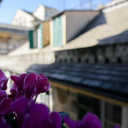 Bed & Breakfast Piccoli Leoni 3*