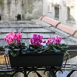 Piccoli Leoni Genua