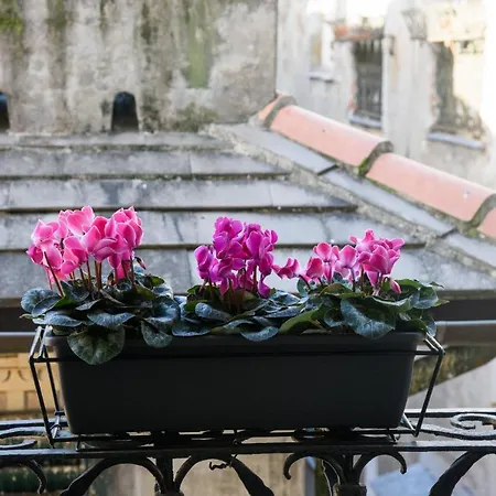 Piccoli Leoni Gênes