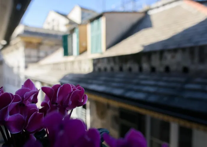 Bed & Breakfast Piccoli Leoni 3*