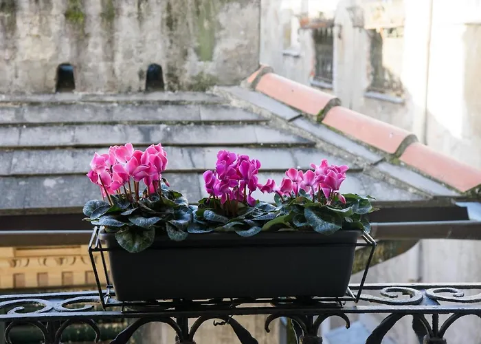 Piccoli Leoni جنوة